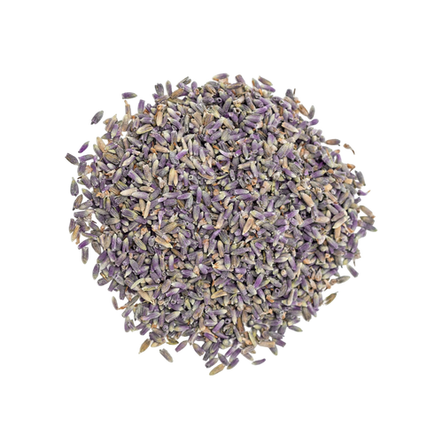 Organic Lavender